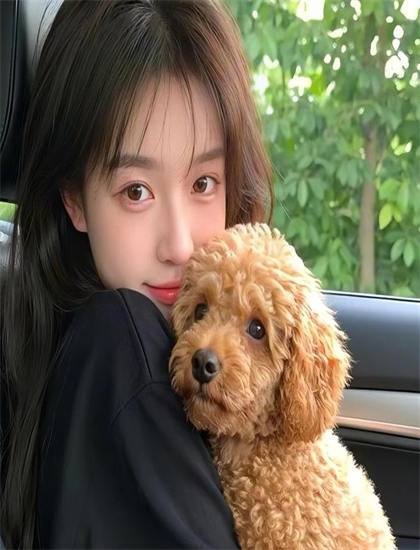 悬疑片《小笨熊之木偶奇遇记》欣赏全攻略：如何分析巧妙的镜头语言 获得心灵启迪